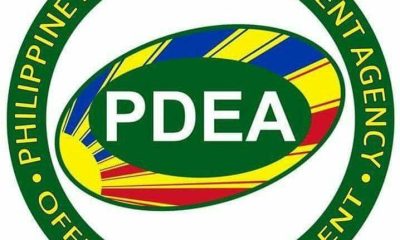 PDEA logo