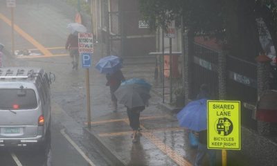 people walking holding umbrella while raining