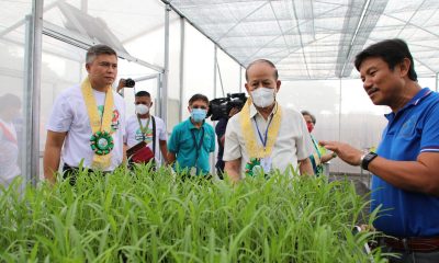 Da Green Revolution 2.0: Plants for Bountiful Barangays Movement