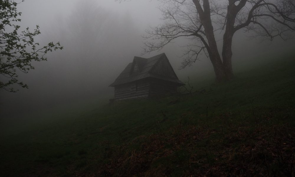 A house in the woods