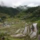 Sagada Rice Terraces