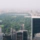 aerial vew of Central Park and skyscrapers