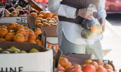 woman choosing citruses in a market