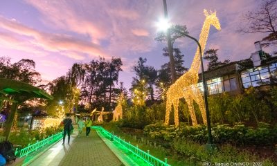 Botanical Garden in Baguio