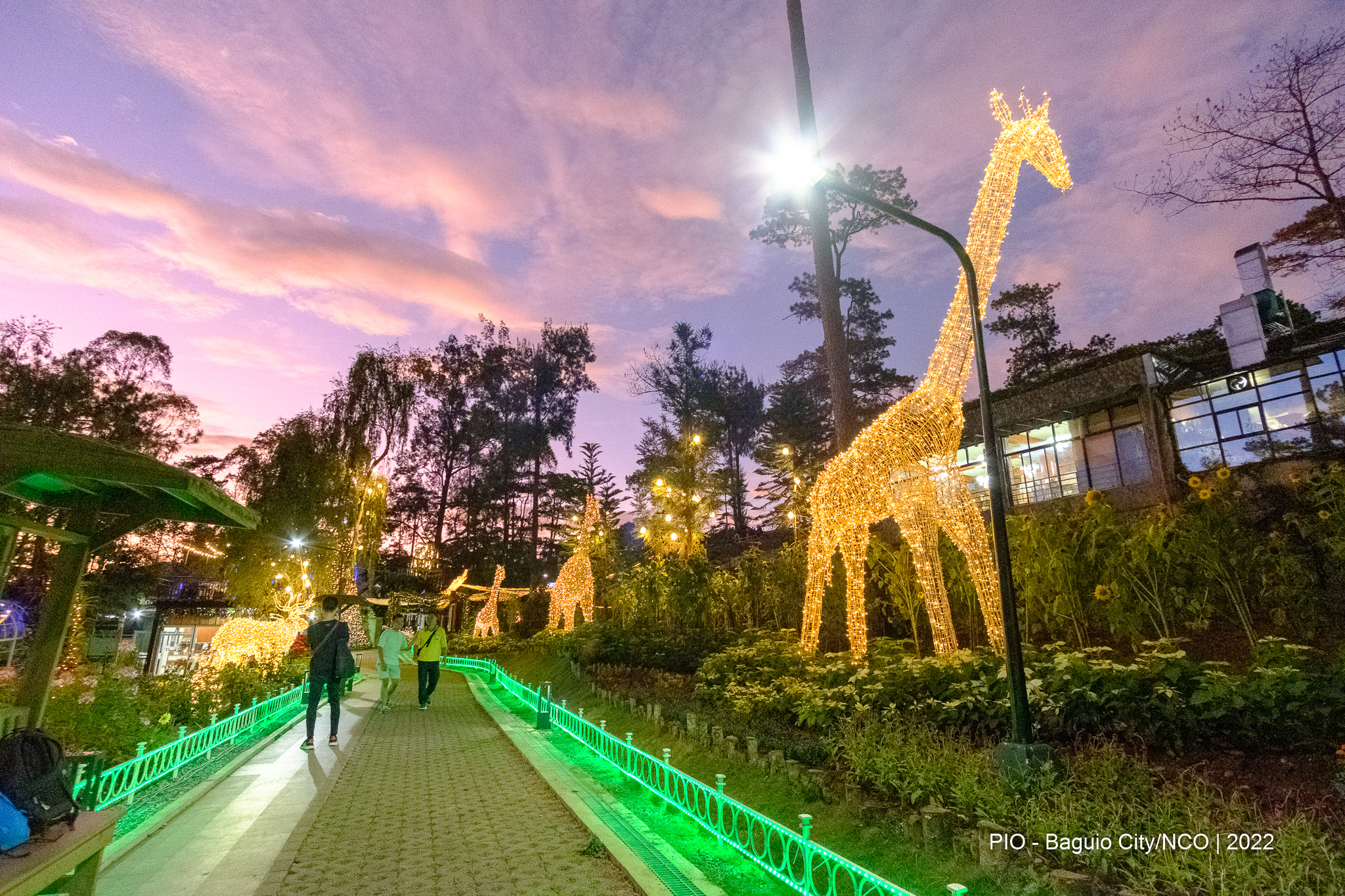 Botanical Garden in Baguio