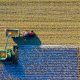 aerial view of harvesting green field