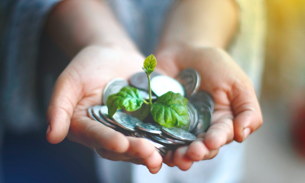 A Person Holding Coins with a Small Plant