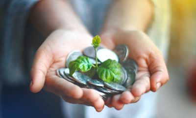 A Person Holding Coins with a Small Plant