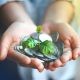 A Person Holding Coins with a Small Plant