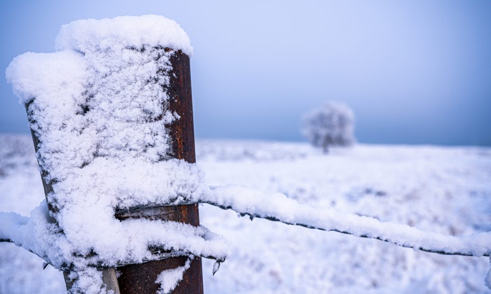 Brown Wooden Fence Covered With Snow