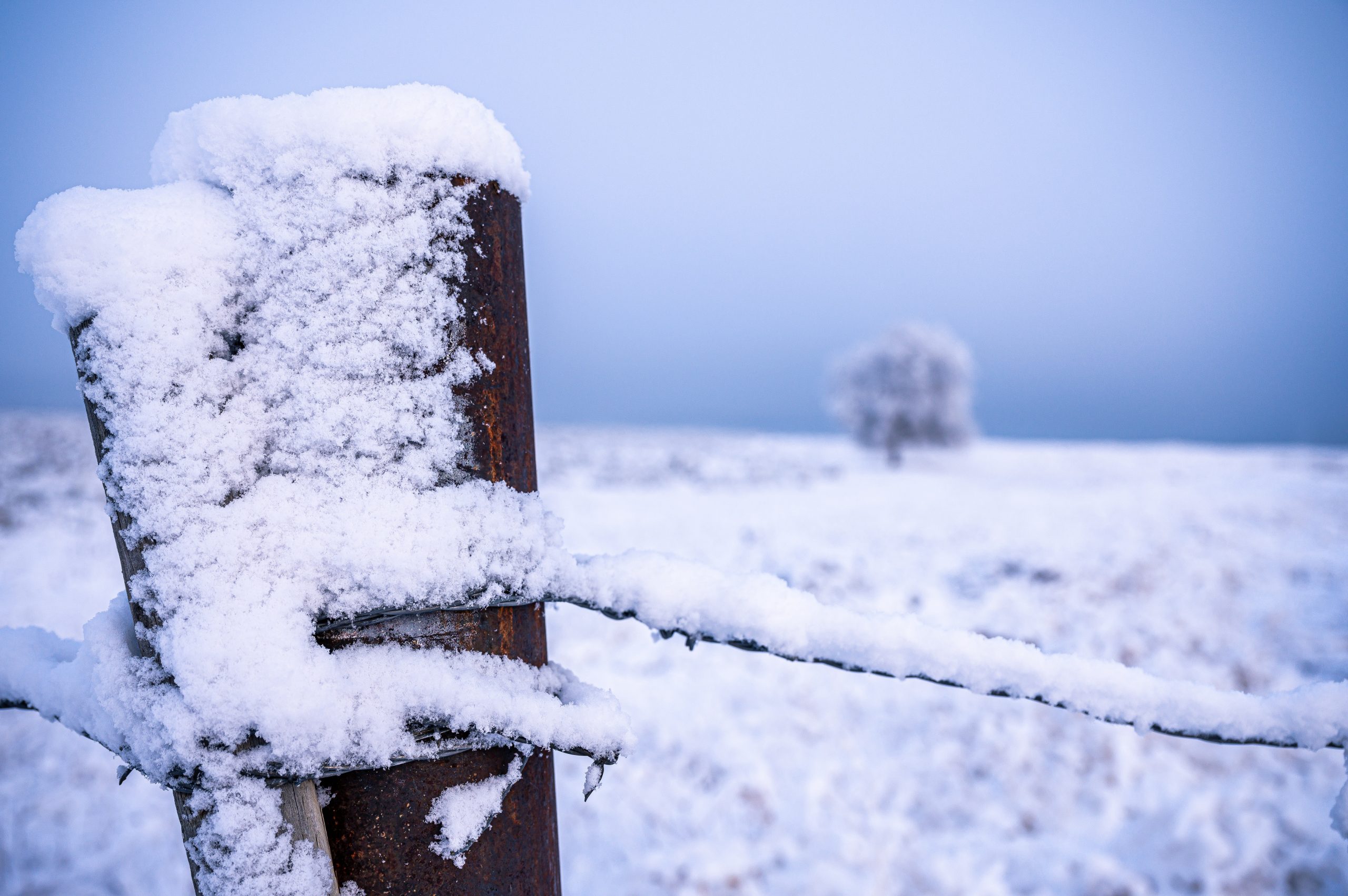 Brown Wooden Fence Covered With Snow