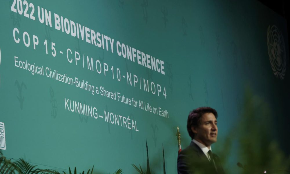 Justin Trudeau at the COP15 opening ceremony