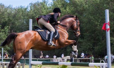 Person Riding A Horse