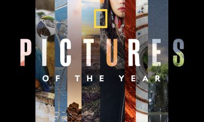 National Geographic Pictures of the Year poster