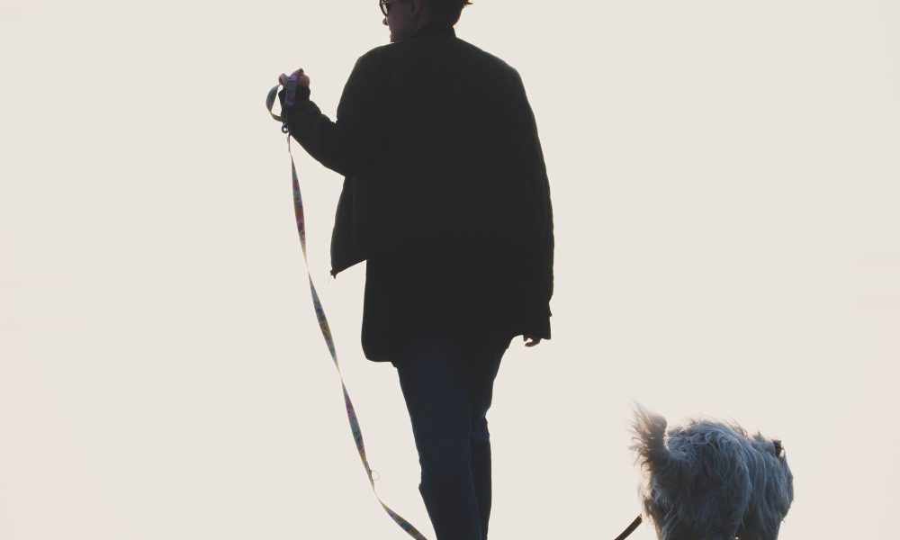 Silhouette Of A Woman Walking Her Dog On Uphill Pathway