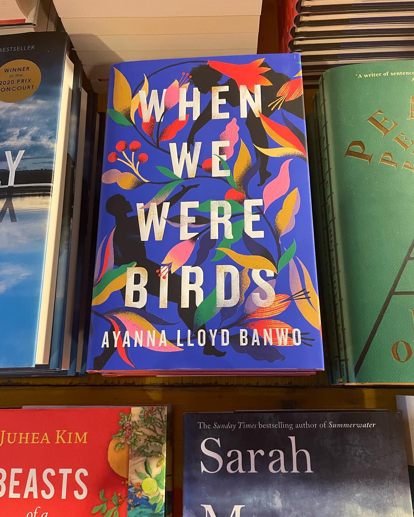 When We Were Birds