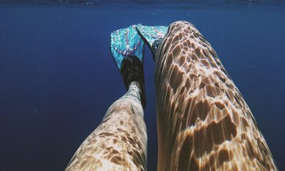 legs swimming with fins underwater