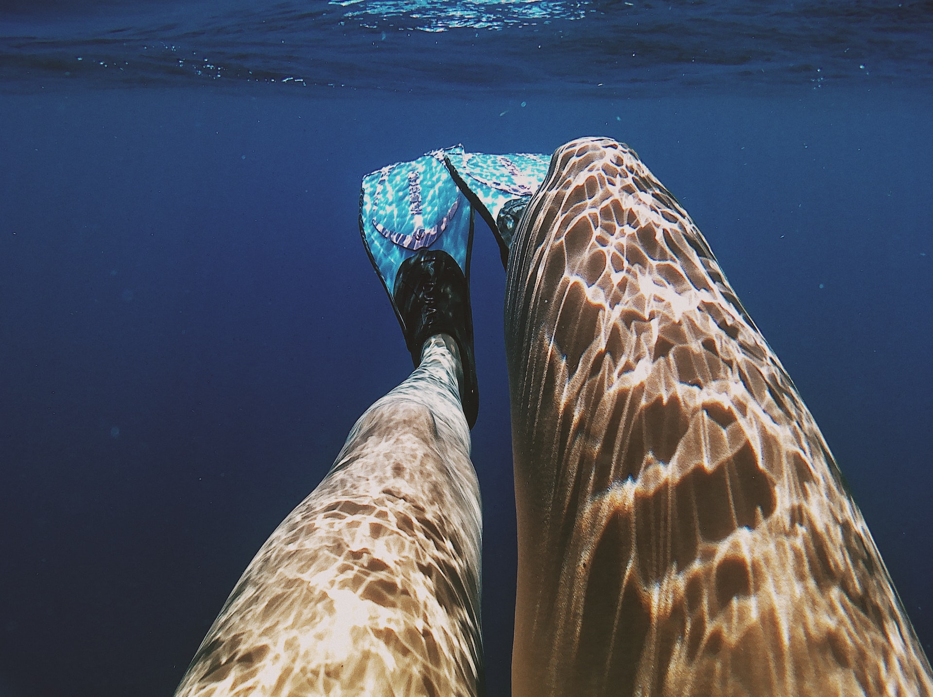 legs swimming with fins underwater