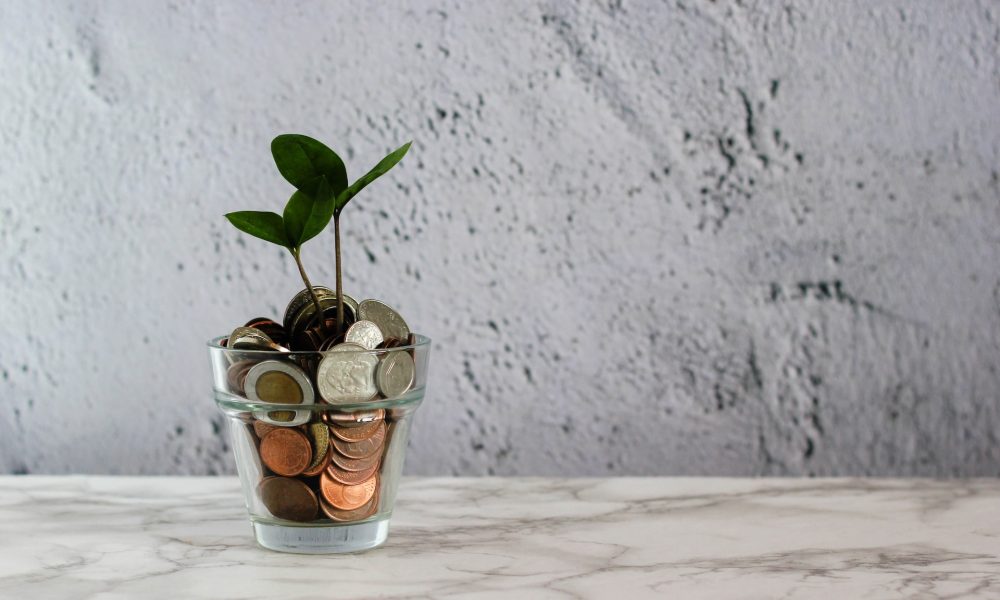 plant on coin pot