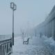 Promenade in Snow