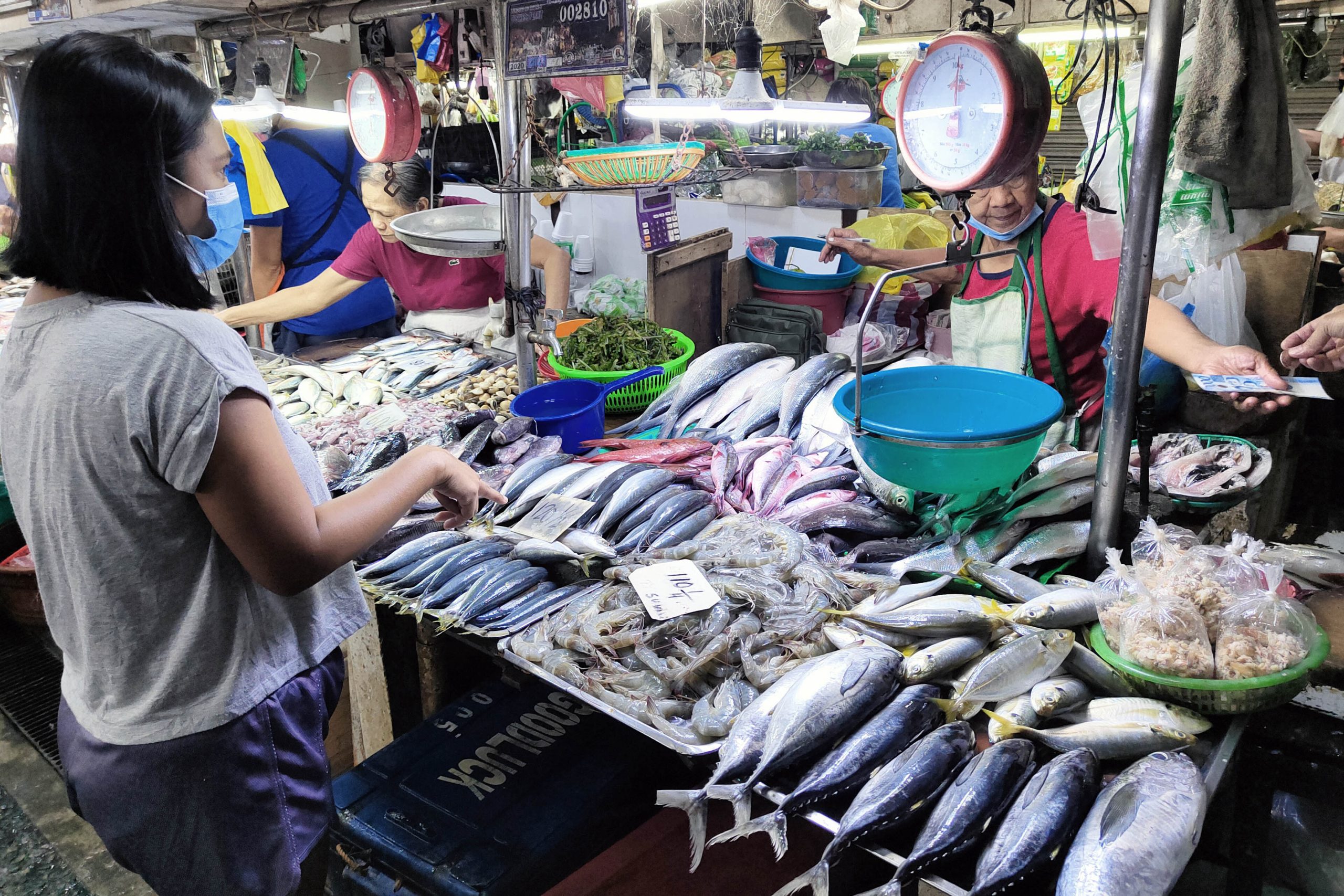 woman chooses from the variety of seafood in market