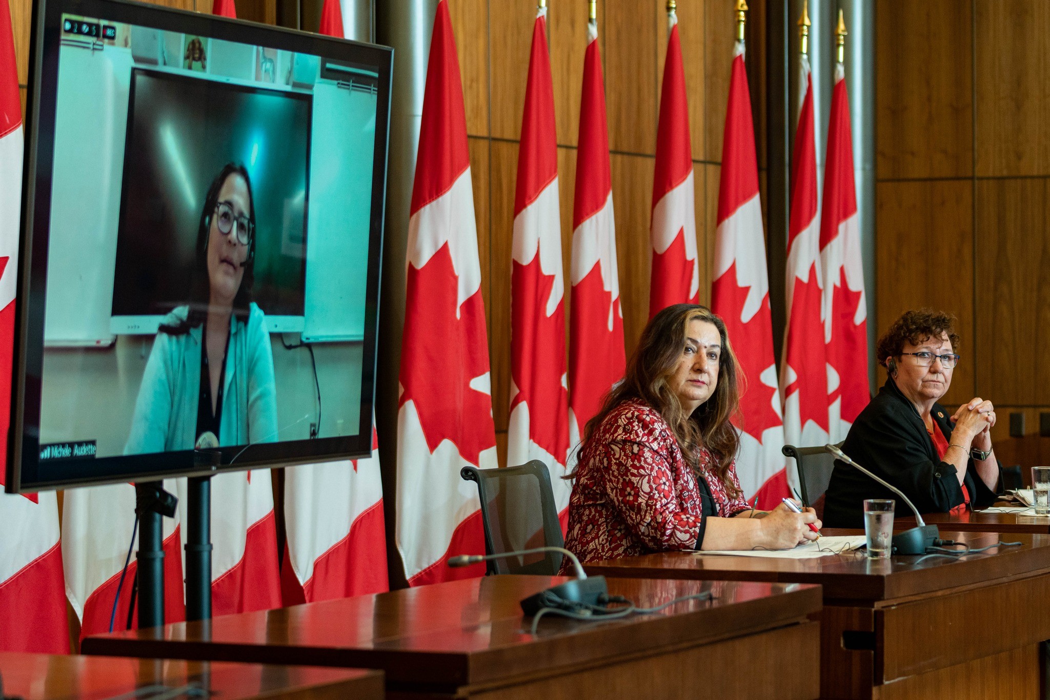 Senator Salma Ataullahjan