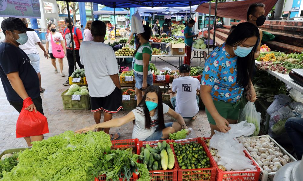 Fresh vegetables