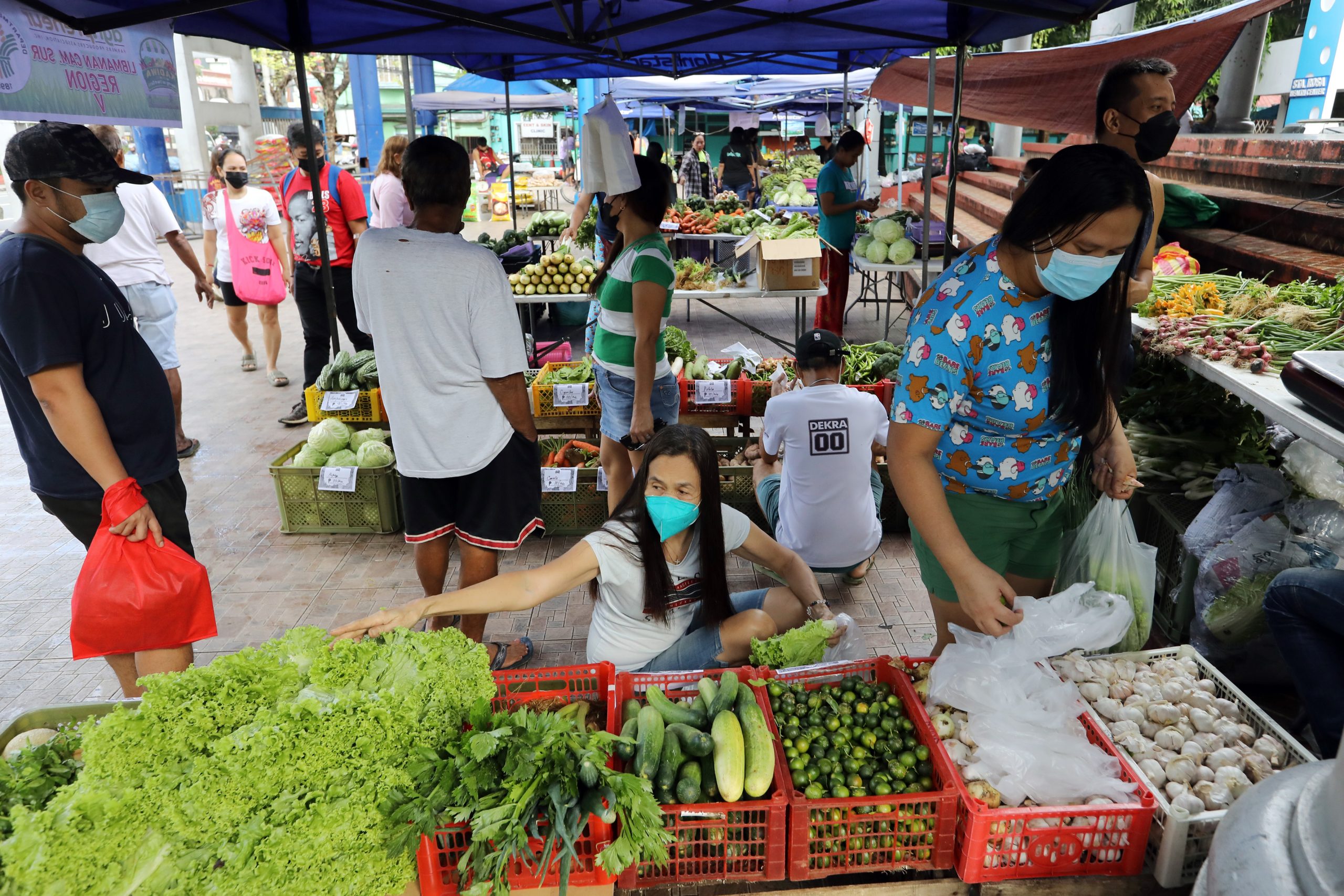 Fresh vegetables