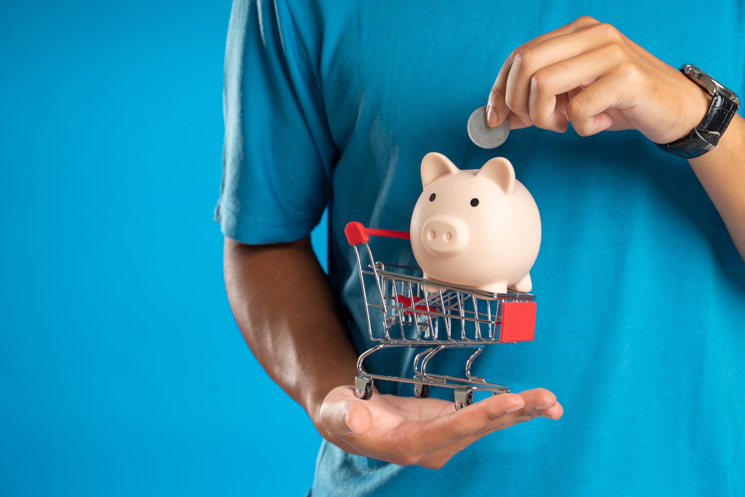 Photo of a Person with a Piggy Bank and a Shopping Cart