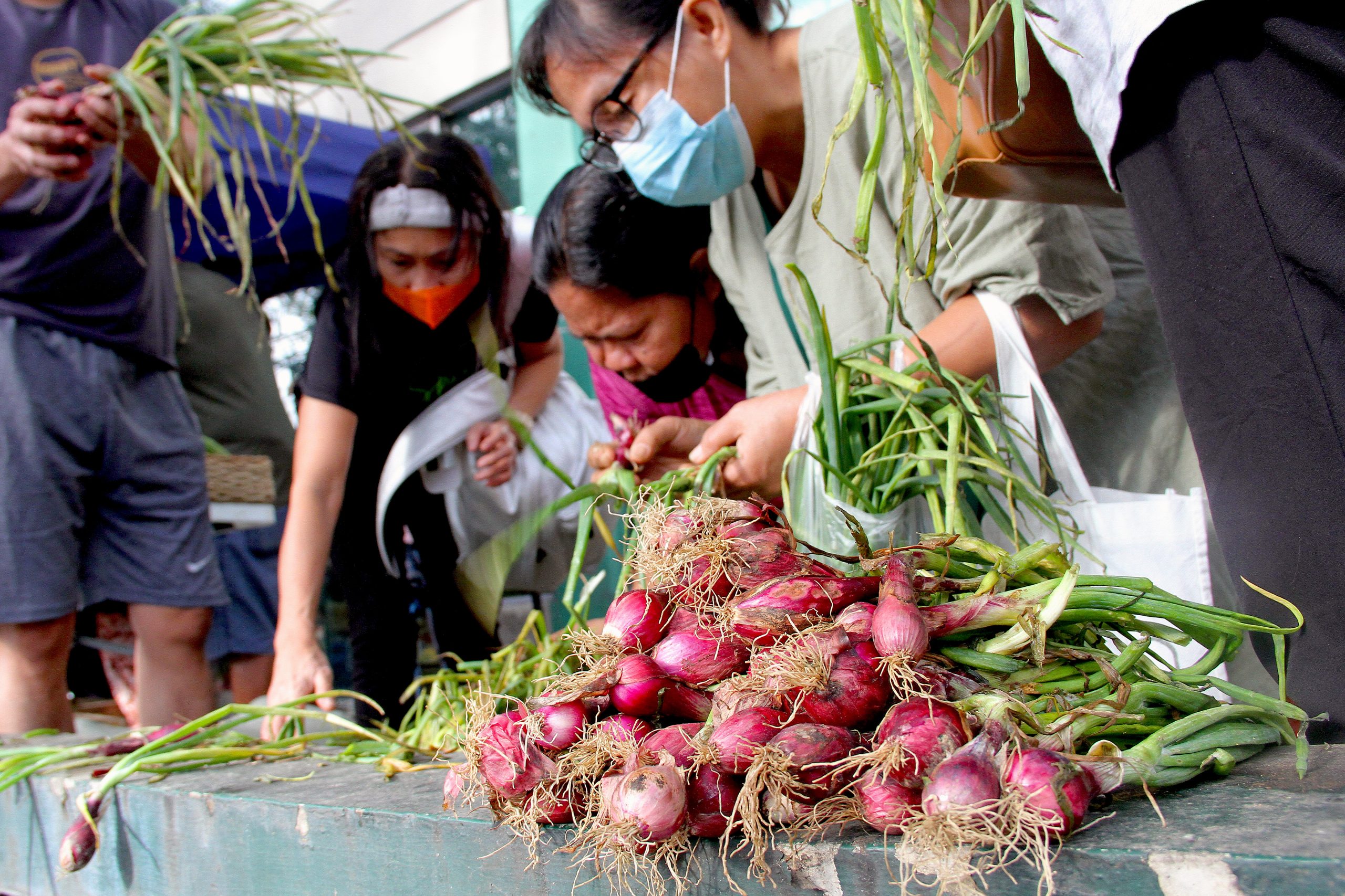 Red onions