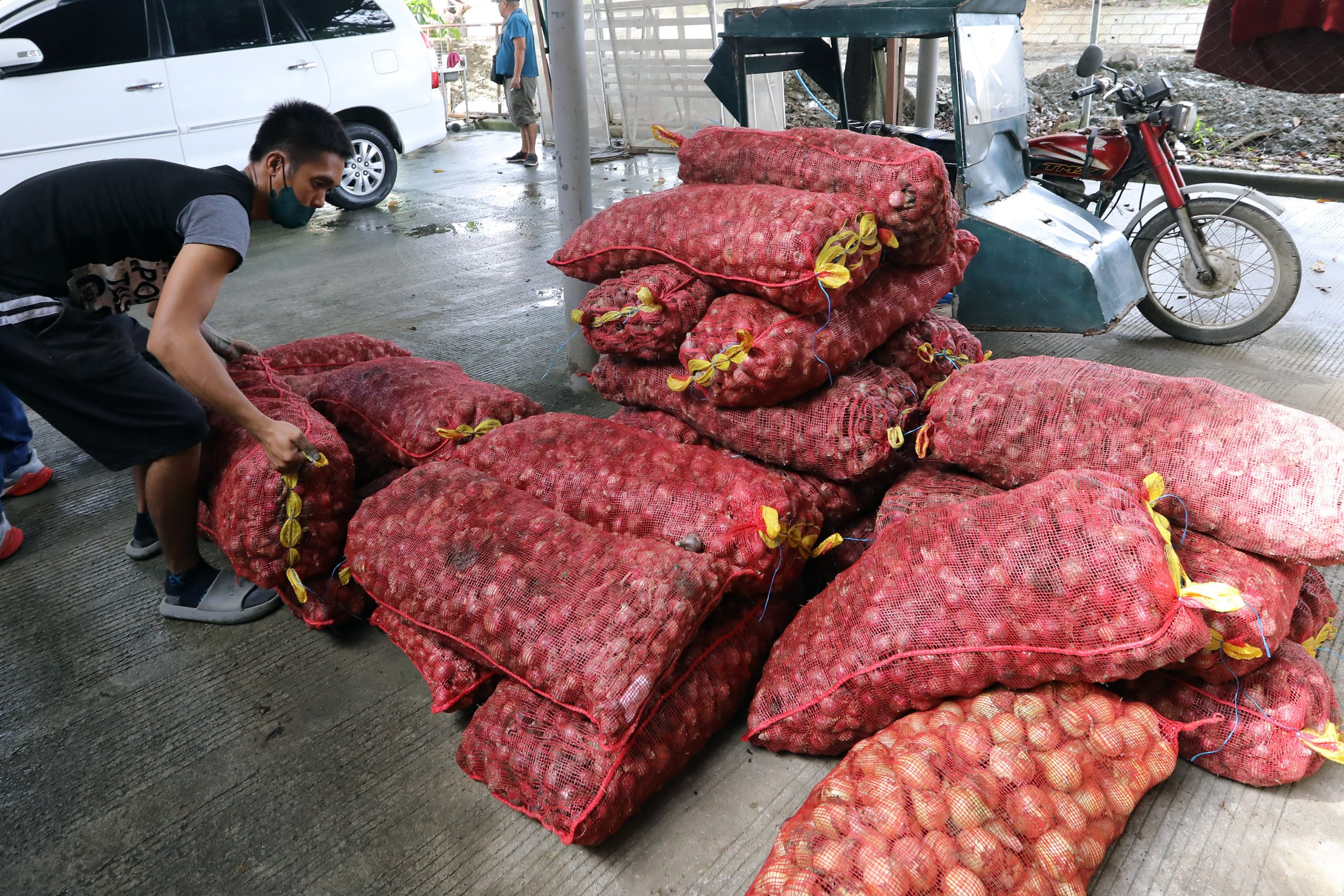 Sacks of red onions