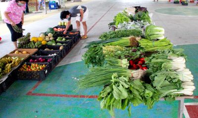 fresh vegetables