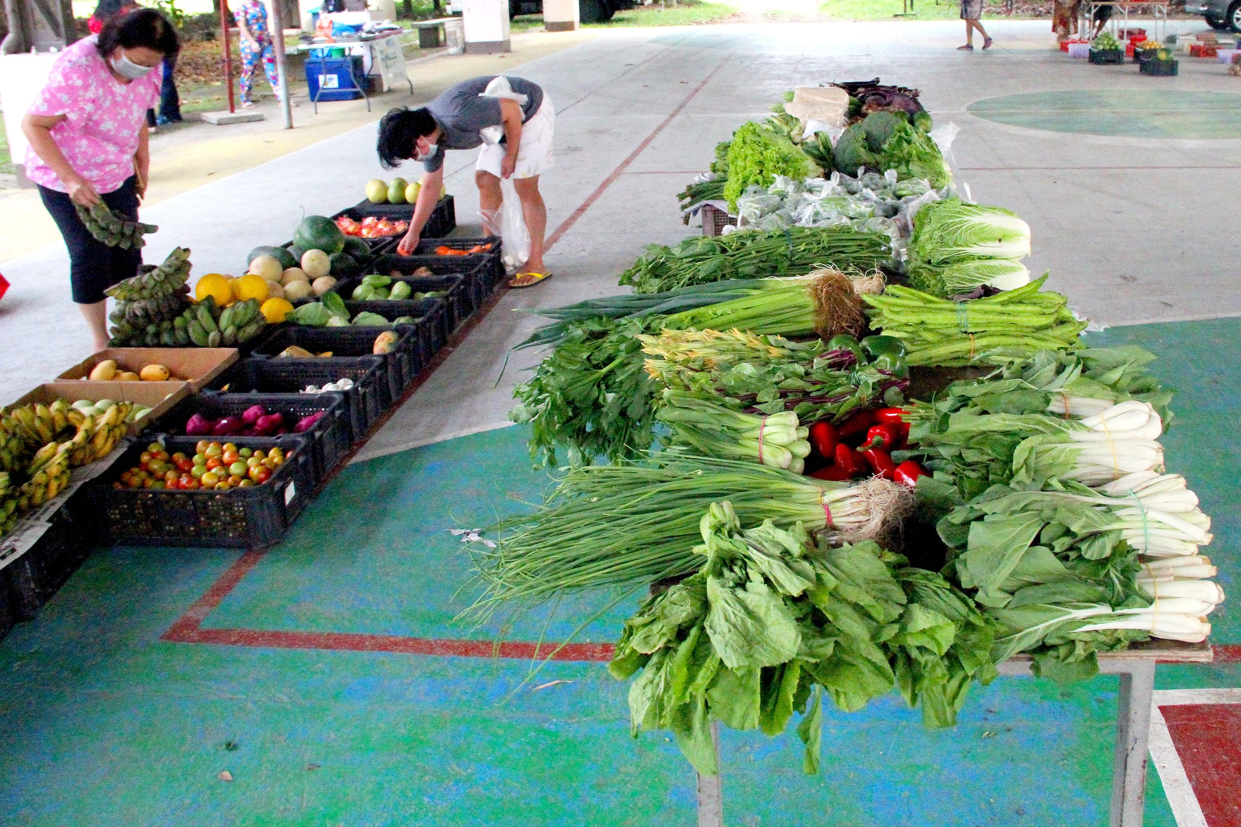 fresh vegetables