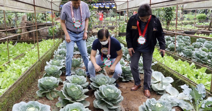 gardening in villages