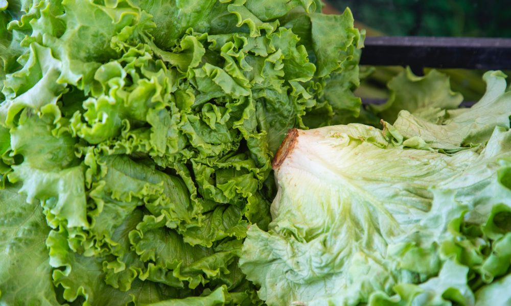 lettuce at the market