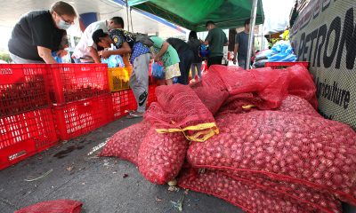 Onions