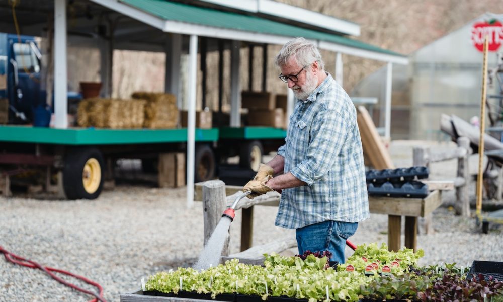 old man watering plants