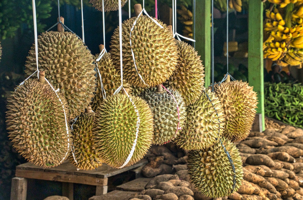 durians hanging on a market store