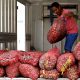 Sack of onions