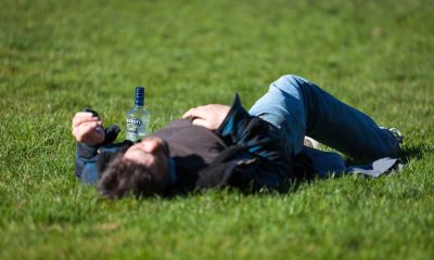 man laying on grass with alcohol bottle