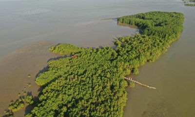 The Sasmuan Pampanga Coastal Wetland