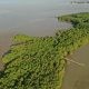 The Sasmuan Pampanga Coastal Wetland