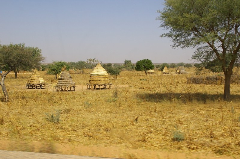countryside field in Niger