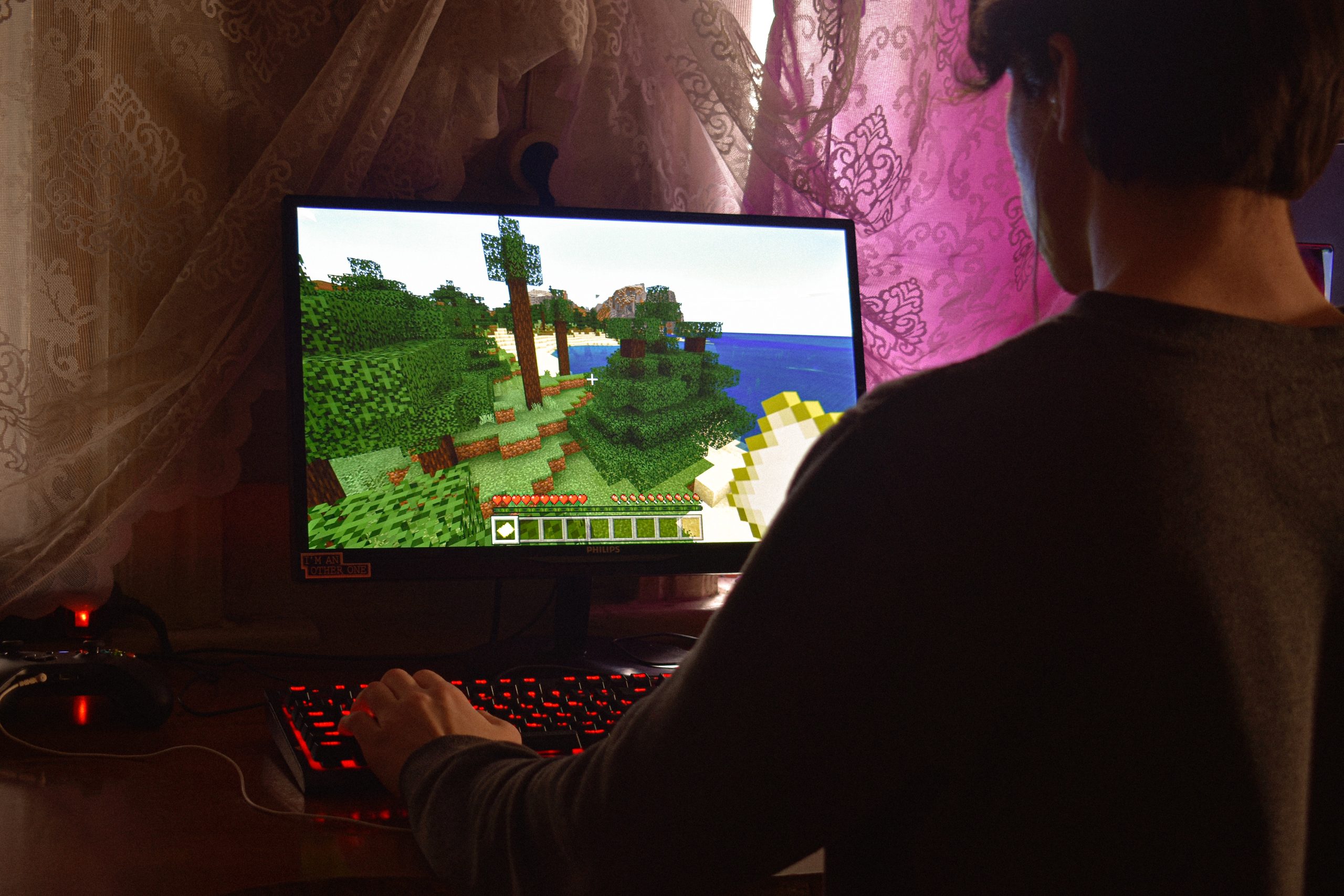 A person playing a computer game