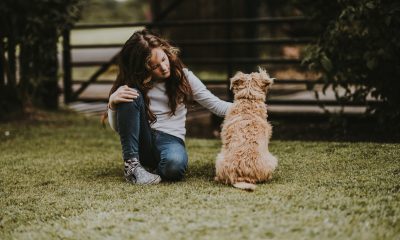 Girl petting a dog