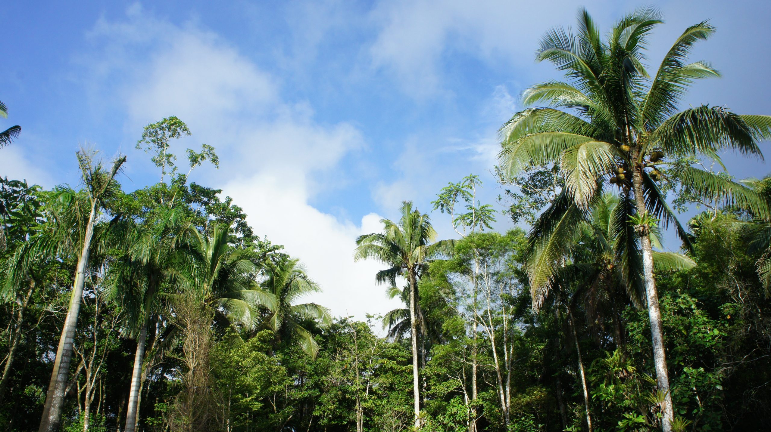 Lucban, Quezon