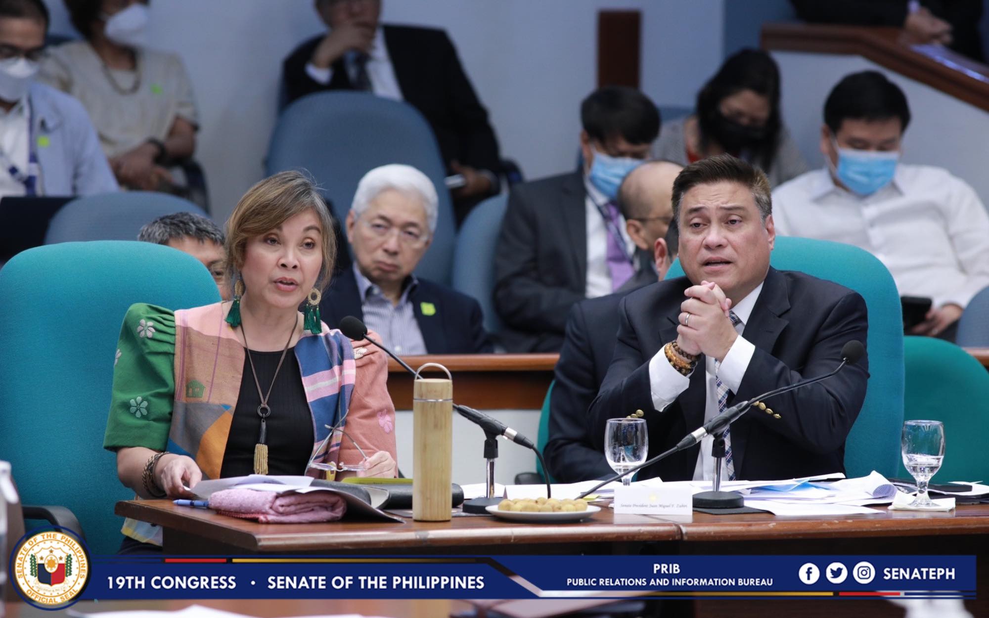 Senate President Juan Miguel Zubiri and Senate President Pro Tempore Loren Legarda