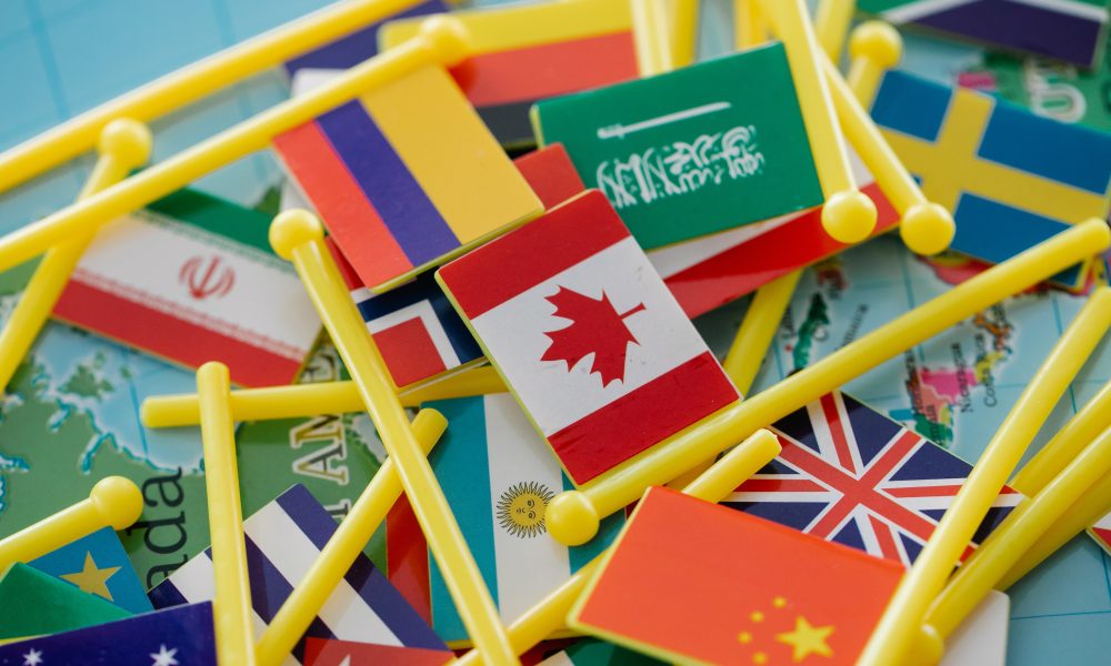 Tiny Toy Flags on Map
