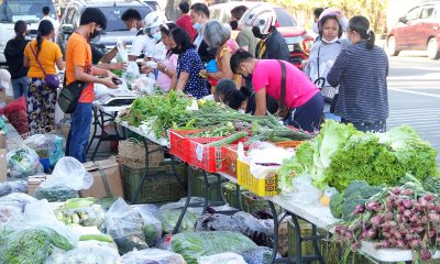 agricultural products sold at cheaper prices