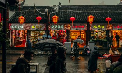 people walking on street of Shanghai